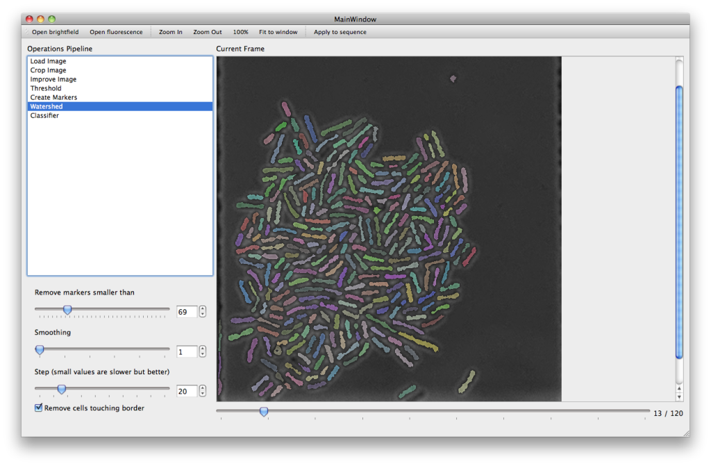 Screenshot of segmentation process