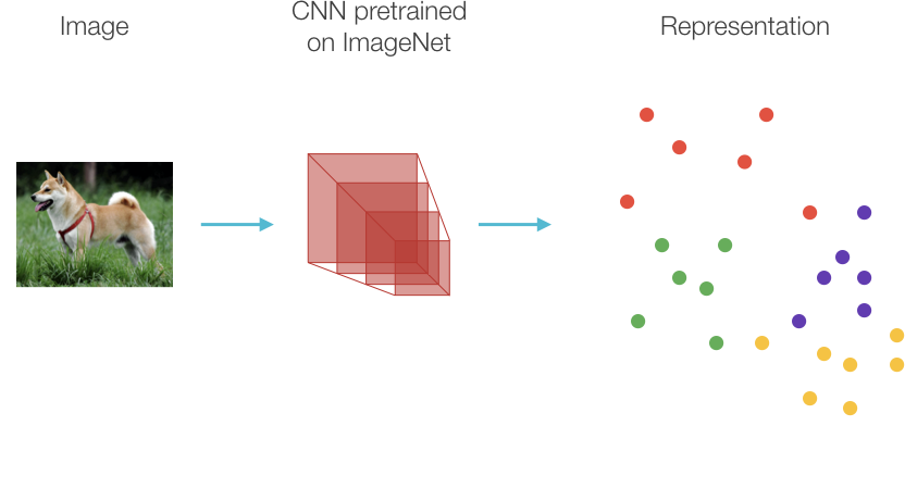 Representation Space